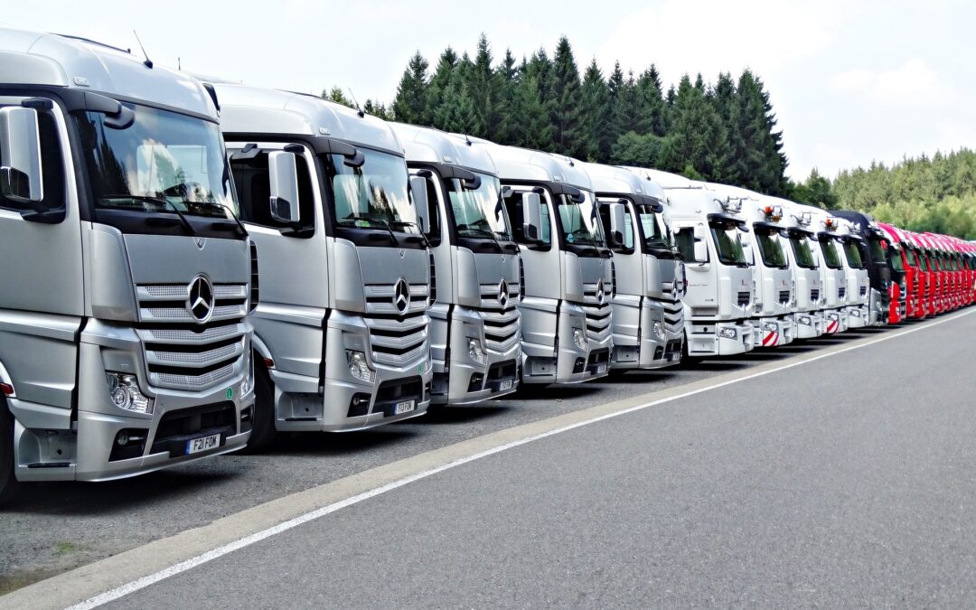 Vorbereitungskurs C95 + D95