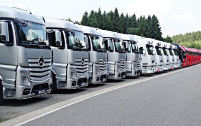 Vorbereitungskurs C95 + D95